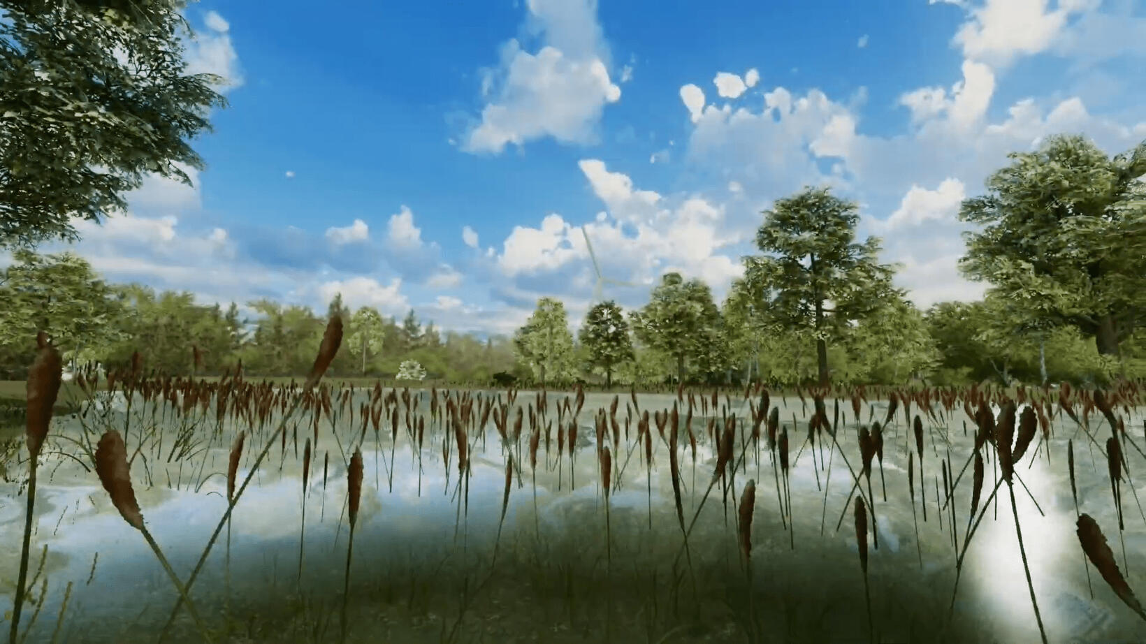 Adding cattails to the pond